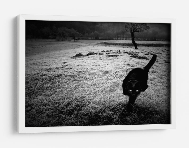 furtivo - Barbara | Cuadro decorativo de Canvas Lab