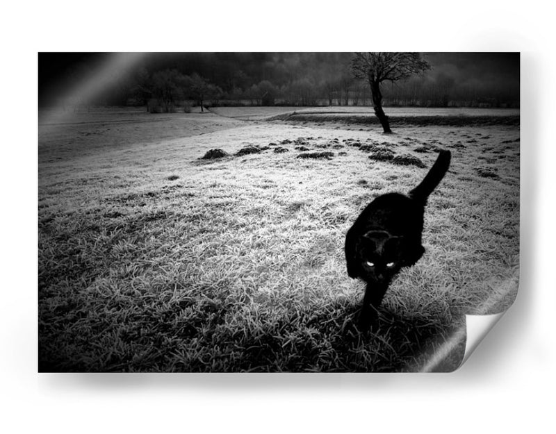 furtivo - Barbara | Cuadro decorativo de Canvas Lab