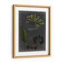 Follaje Dramatique Vi - Vision Studio | Cuadro decorativo de Canvas Lab