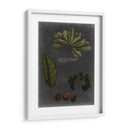 Follaje Dramatique Vi - Vision Studio | Cuadro decorativo de Canvas Lab