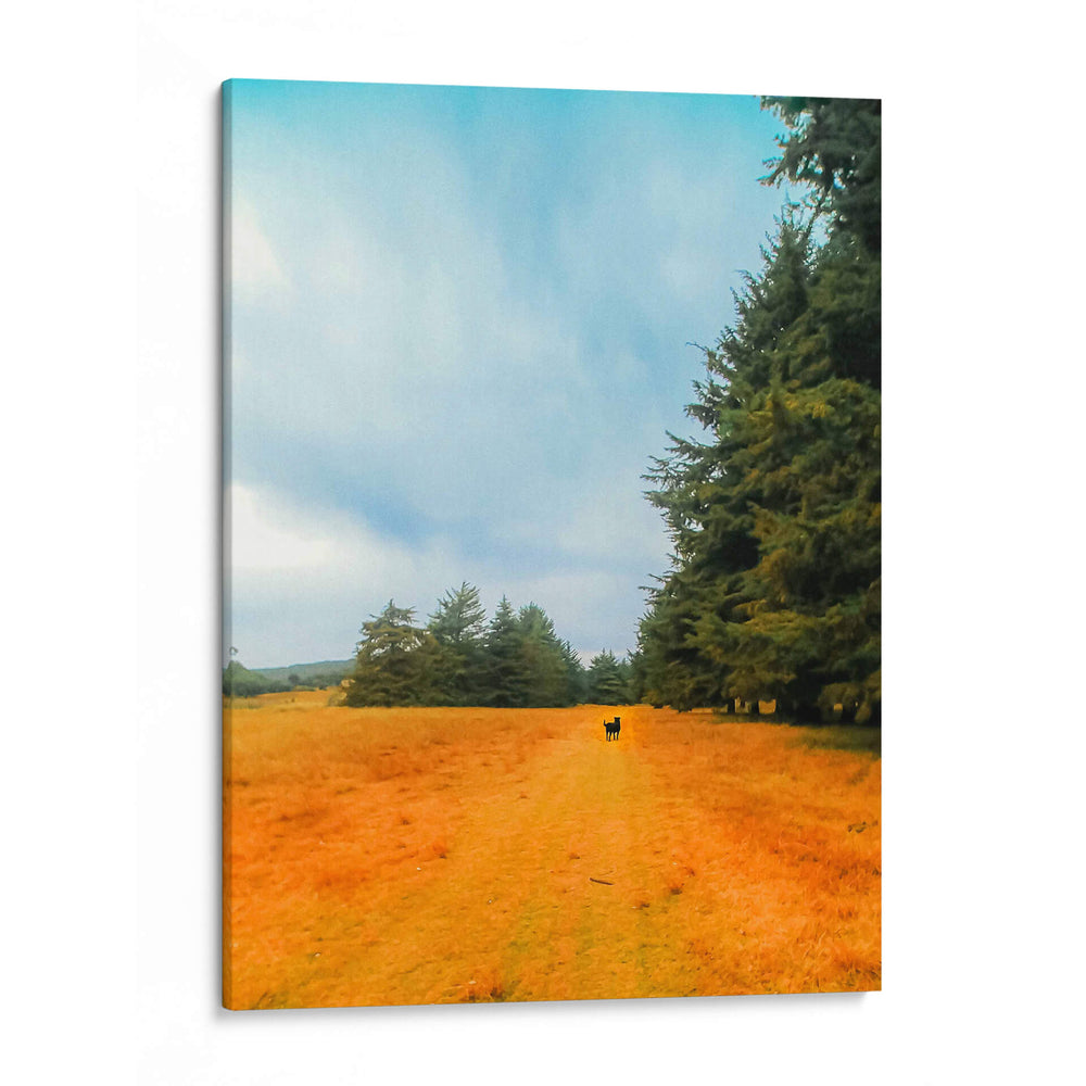 Caminata en el campo - E Ordóñez | Cuadro decorativo de Canvas Lab