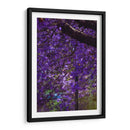 Jacaranda - El Maik | Cuadro decorativo de Canvas Lab