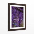 Jacaranda - El Maik | Cuadro decorativo de Canvas Lab