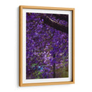 Jacaranda - El Maik | Cuadro decorativo de Canvas Lab