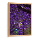 Jacaranda - El Maik | Cuadro decorativo de Canvas Lab