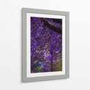 Jacaranda - El Maik | Cuadro decorativo de Canvas Lab