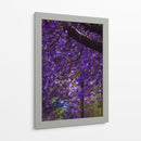 Jacaranda - El Maik | Cuadro decorativo de Canvas Lab