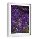 Jacaranda - El Maik | Cuadro decorativo de Canvas Lab