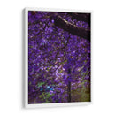 Jacaranda - El Maik | Cuadro decorativo de Canvas Lab