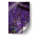 Jacaranda - El Maik | Cuadro decorativo de Canvas Lab