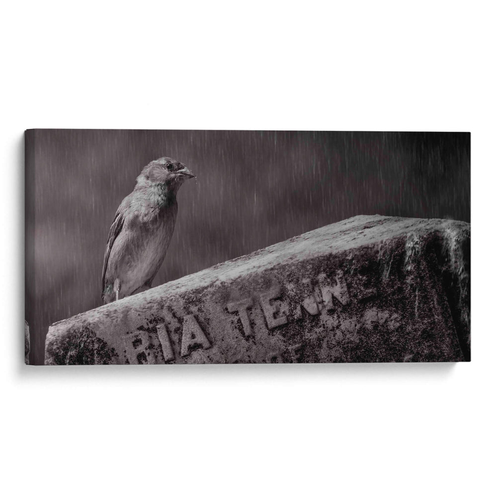 El guardián - Michael Castellano | Cuadro decorativo de Canvas Lab