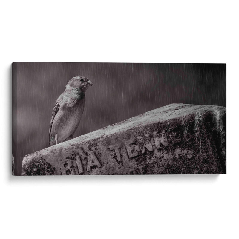 El guardián - Michael Castellano | Cuadro decorativo de Canvas Lab