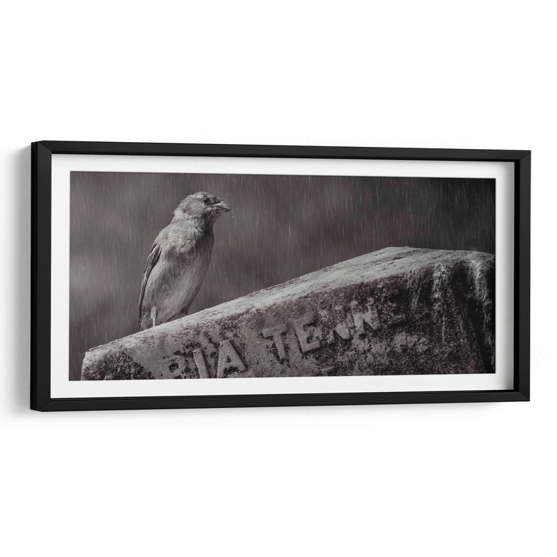 El guardián - Michael Castellano | Cuadro decorativo de Canvas Lab