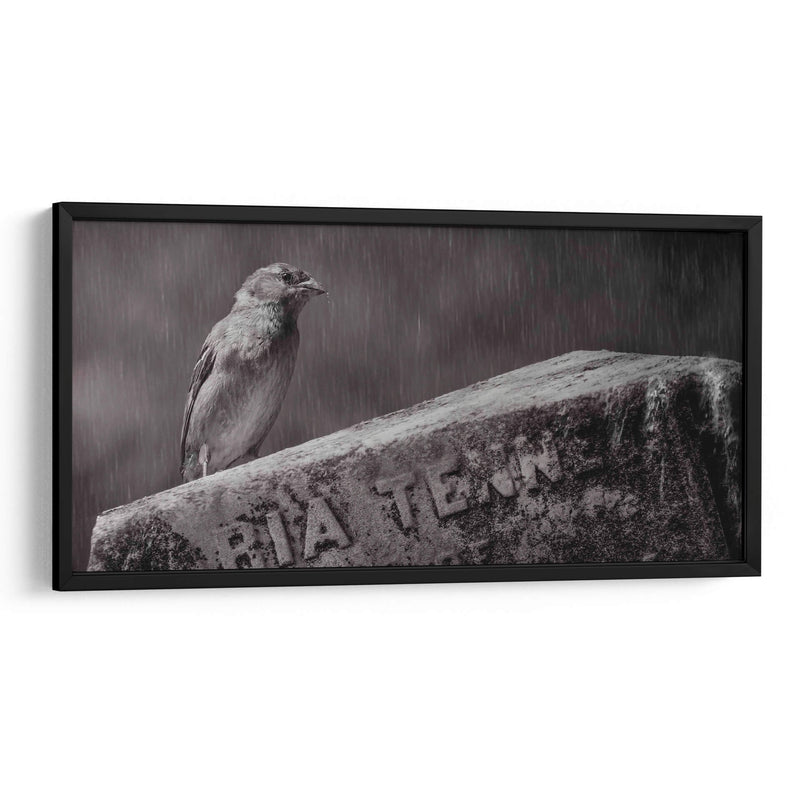 El guardián - Michael Castellano | Cuadro decorativo de Canvas Lab