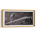 El guardián - Michael Castellano | Cuadro decorativo de Canvas Lab