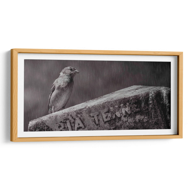 El guardián - Michael Castellano | Cuadro decorativo de Canvas Lab