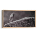 El guardián - Michael Castellano | Cuadro decorativo de Canvas Lab