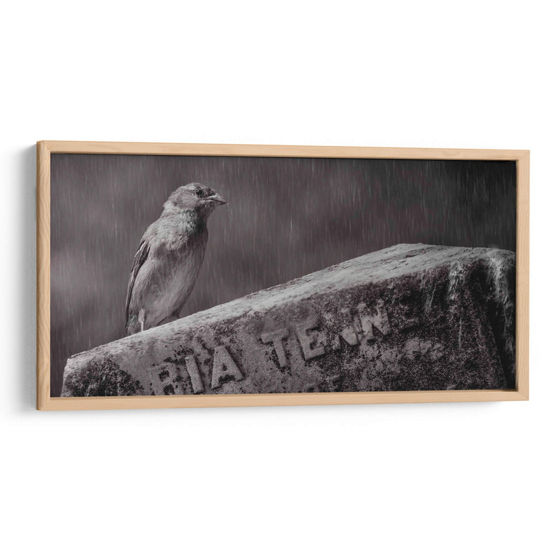 El guardián - Michael Castellano | Cuadro decorativo de Canvas Lab