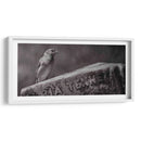 El guardián - Michael Castellano | Cuadro decorativo de Canvas Lab