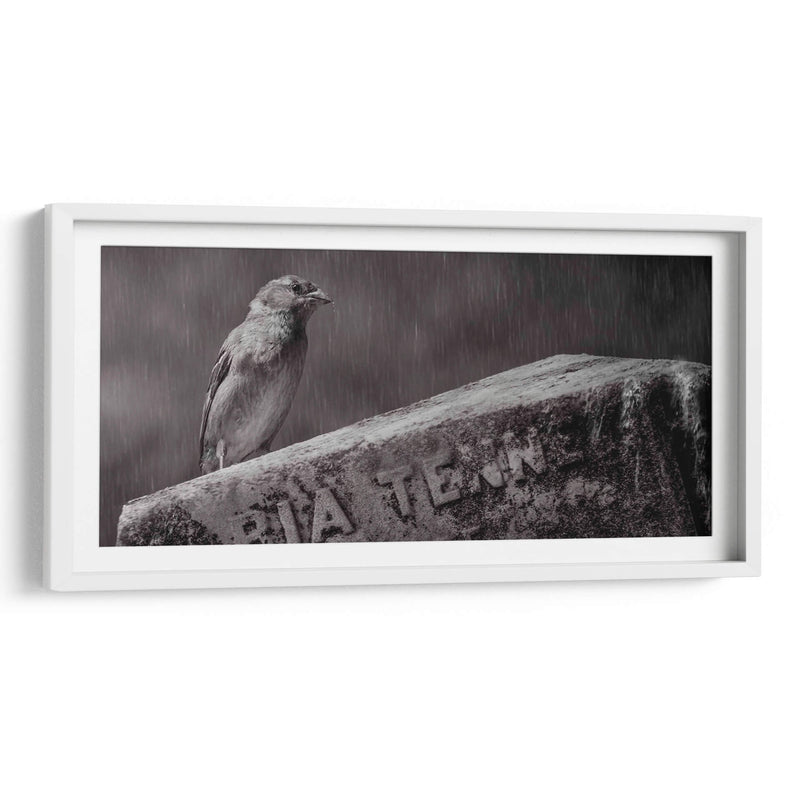 El guardián - Michael Castellano | Cuadro decorativo de Canvas Lab