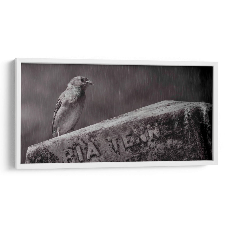 El guardián - Michael Castellano | Cuadro decorativo de Canvas Lab