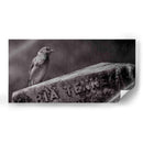 El guardián - Michael Castellano | Cuadro decorativo de Canvas Lab