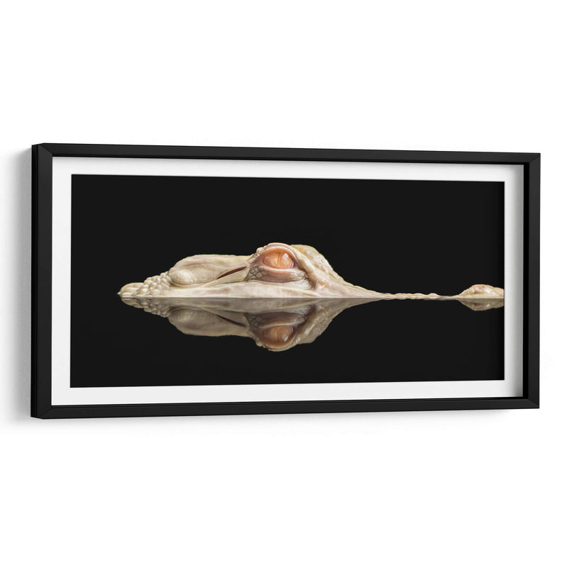 El cocodrilo blanco - Holger Schmidtke | Cuadro decorativo de Canvas Lab