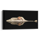 El cocodrilo blanco - Holger Schmidtke | Cuadro decorativo de Canvas Lab