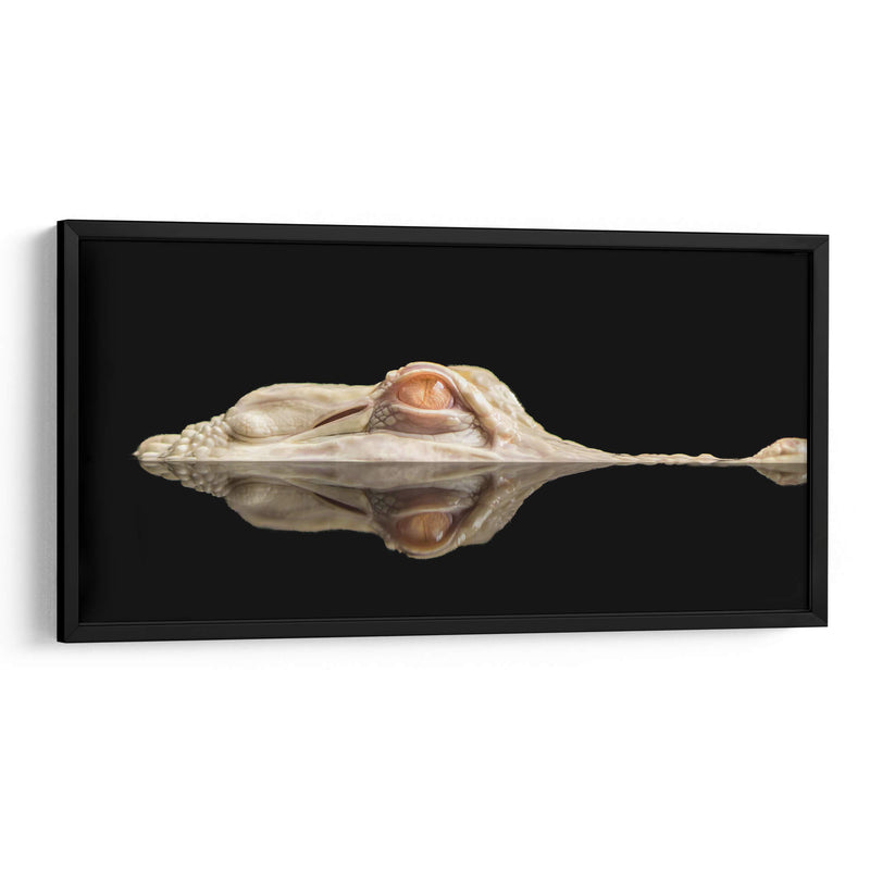 El cocodrilo blanco - Holger Schmidtke | Cuadro decorativo de Canvas Lab