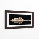 El cocodrilo blanco - Holger Schmidtke | Cuadro decorativo de Canvas Lab