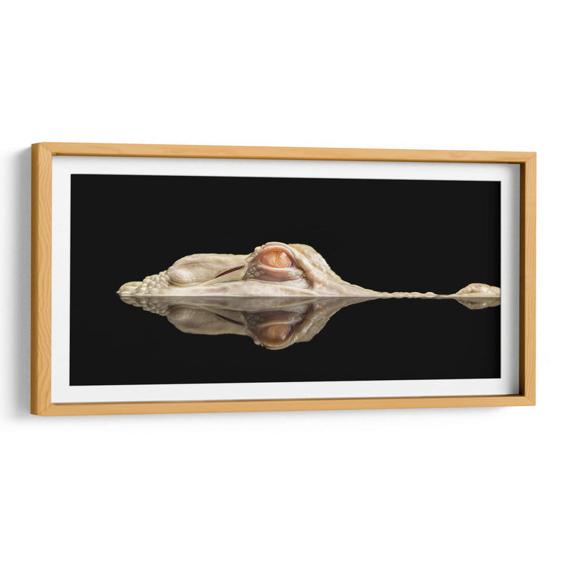 El cocodrilo blanco - Holger Schmidtke | Cuadro decorativo de Canvas Lab