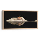 El cocodrilo blanco - Holger Schmidtke | Cuadro decorativo de Canvas Lab