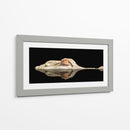 El cocodrilo blanco - Holger Schmidtke | Cuadro decorativo de Canvas Lab