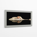 El cocodrilo blanco - Holger Schmidtke | Cuadro decorativo de Canvas Lab
