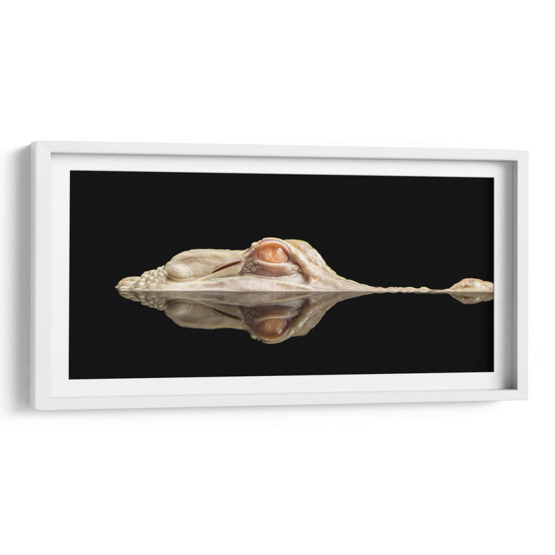 El cocodrilo blanco - Holger Schmidtke | Cuadro decorativo de Canvas Lab