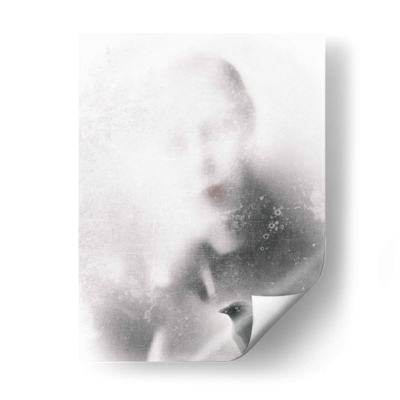 El pájaro enojado... - Gilbert Claes | Cuadro decorativo de Canvas Lab