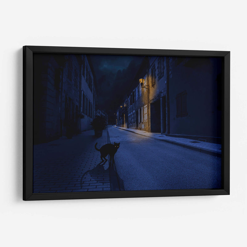 Le Chat Noir - Omar Brunt | Cuadro decorativo de Canvas Lab