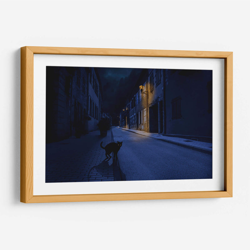 Le Chat Noir - Omar Brunt | Cuadro decorativo de Canvas Lab