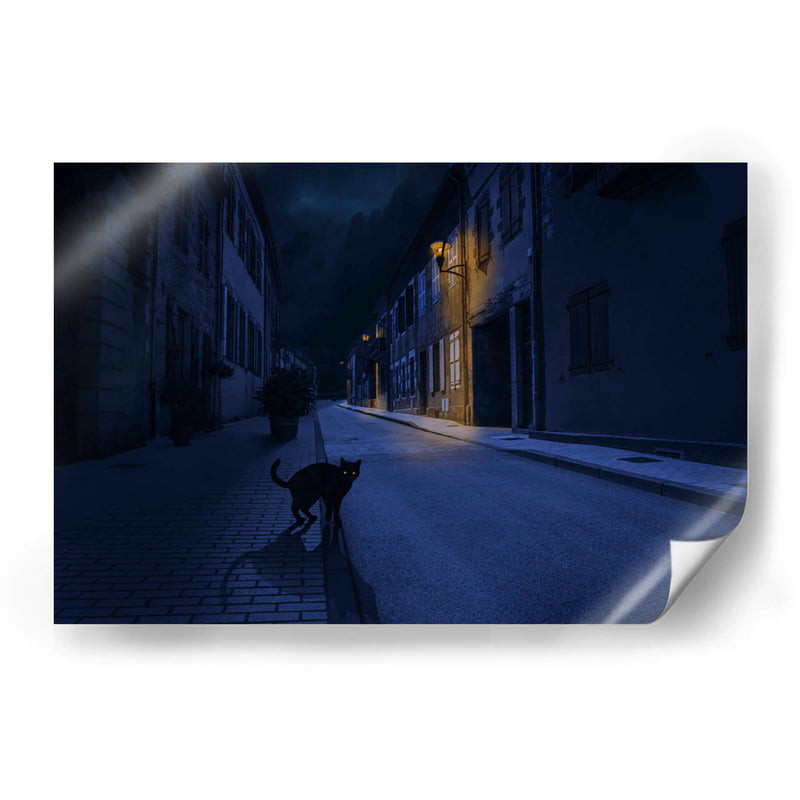 Le Chat Noir - Omar Brunt | Cuadro decorativo de Canvas Lab