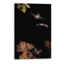 Murciélagos y Halloween - Nicolas Merino | Cuadro decorativo de Canvas Lab