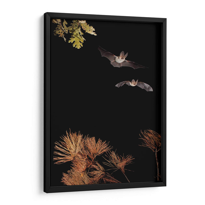 Murciélagos y Halloween - Nicolas Merino | Cuadro decorativo de Canvas Lab