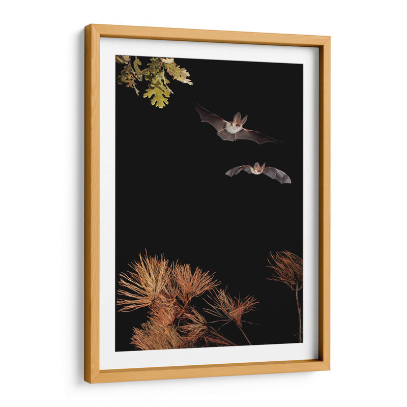 Murciélagos y Halloween - Nicolas Merino | Cuadro decorativo de Canvas Lab