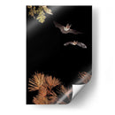 Murciélagos y Halloween - Nicolas Merino | Cuadro decorativo de Canvas Lab