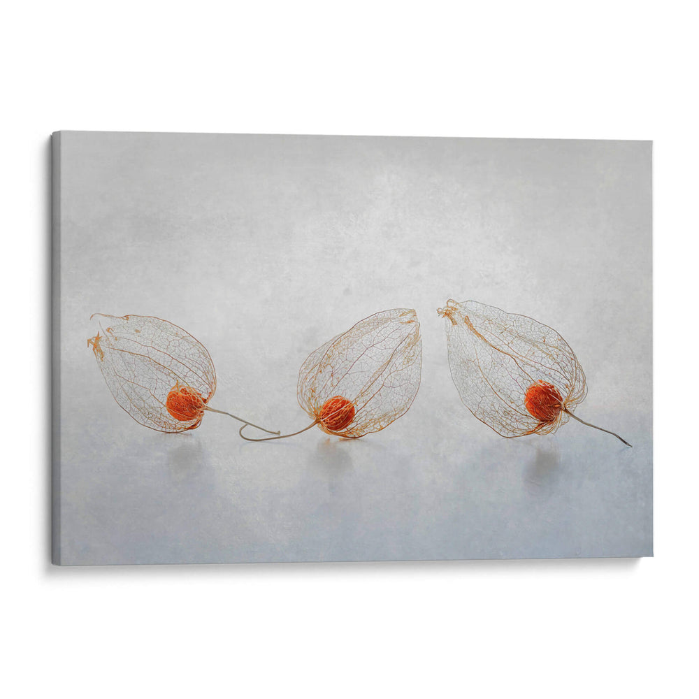 Linterna china - Ytje Veenstra | Cuadro decorativo de Canvas Lab