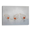 Linterna china - Ytje Veenstra | Cuadro decorativo de Canvas Lab