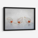 Linterna china - Ytje Veenstra | Cuadro decorativo de Canvas Lab