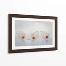 Linterna china - Ytje Veenstra | Cuadro decorativo de Canvas Lab