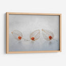 Linterna china - Ytje Veenstra | Cuadro decorativo de Canvas Lab