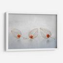 Linterna china - Ytje Veenstra | Cuadro decorativo de Canvas Lab