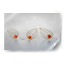 Linterna china - Ytje Veenstra | Cuadro decorativo de Canvas Lab